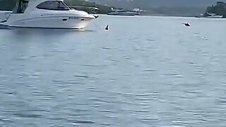 Monika Fox Morning Swimming Naked in the Bay